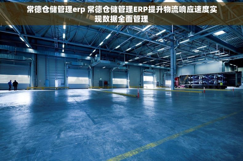 常德仓储管理erp 常德仓储管理ERP提升物流响应速度实现数据全面管理