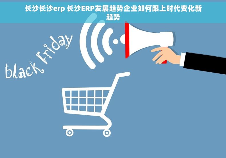 长沙长沙erp 长沙ERP发展趋势企业如何跟上时代变化新趋势