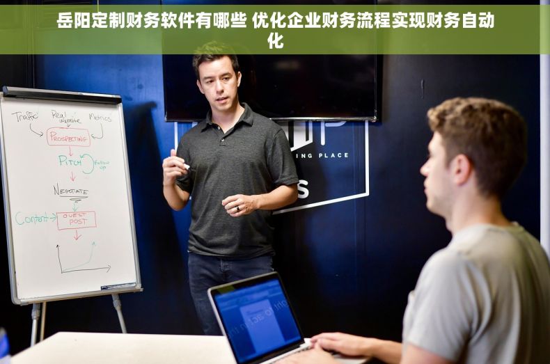 岳阳定制财务软件有哪些 优化企业财务流程实现财务自动化