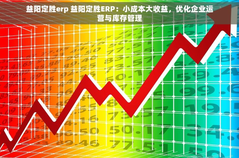 益阳定胜erp 益阳定胜ERP：小成本大收益，优化企业运营与库存管理