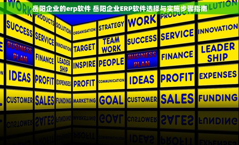 岳阳企业的erp软件 岳阳企业ERP软件选择与实施步骤指南