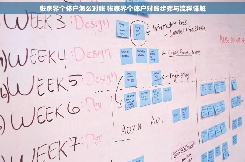 张家界个体户怎么对账 张家界个体户对账步骤与流程详解