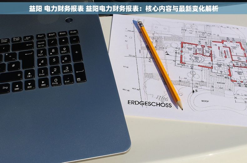 益阳 电力财务报表 益阳电力财务报表：核心内容与最新变化解析