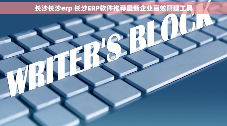 长沙长沙erp 长沙ERP软件推荐最新企业高效管理工具