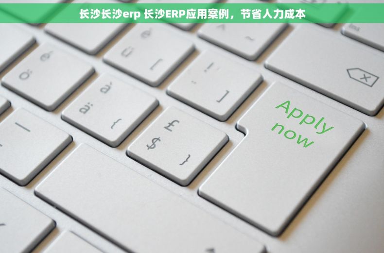 长沙长沙erp 长沙ERP应用案例，节省人力成本