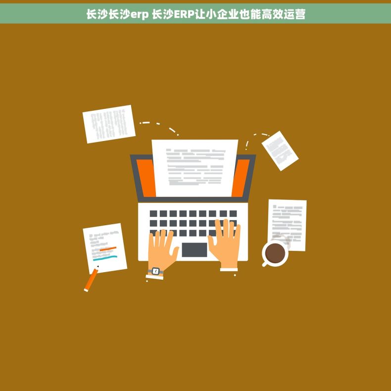 长沙长沙erp 长沙ERP让小企业也能高效运营 长沙长沙erp 长沙ERP让小企业也能高效运营