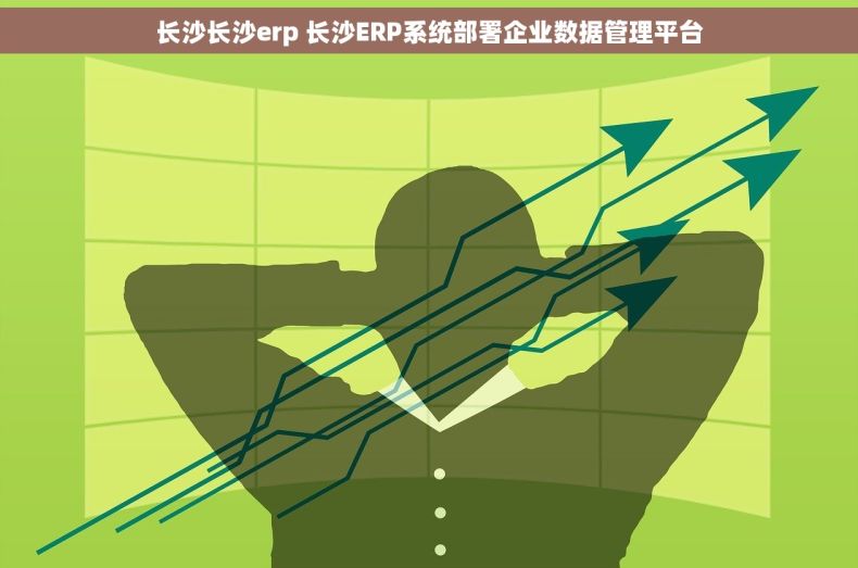 长沙长沙erp 长沙ERP系统部署企业数据管理平台