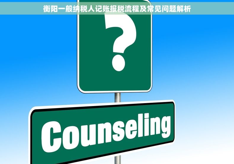 衡阳一般纳税人记账报税流程及常见问题解析