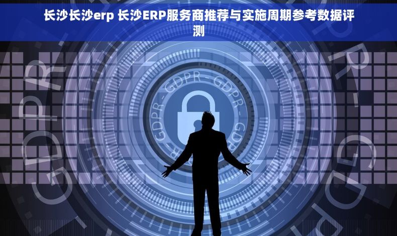 长沙长沙erp 长沙ERP服务商推荐与实施周期参考数据评测