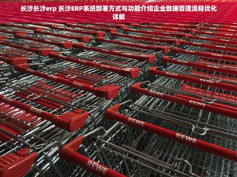 长沙长沙erp 长沙ERP系统部署方式与功能介绍企业数据管理流程优化详解