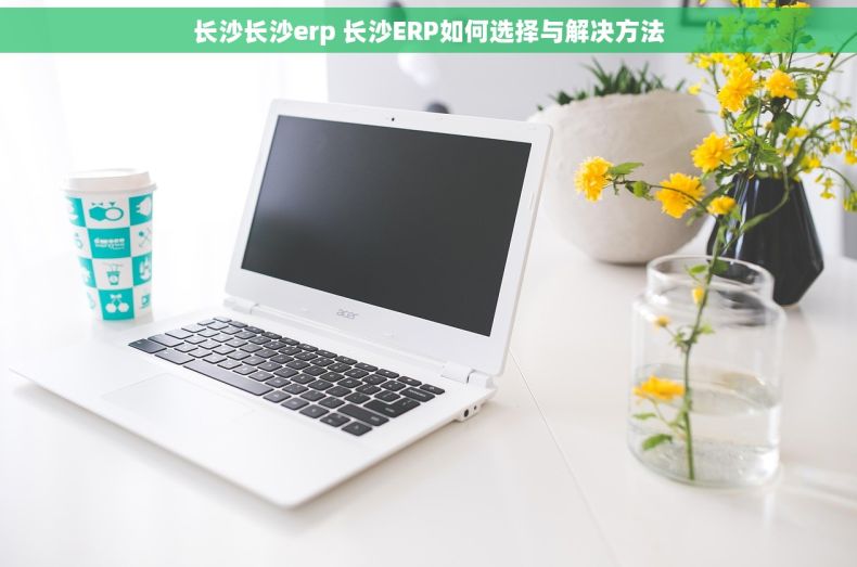 长沙长沙erp 长沙ERP如何选择与解决方法 长沙长沙erp 长沙ERP如何选择与解决方法