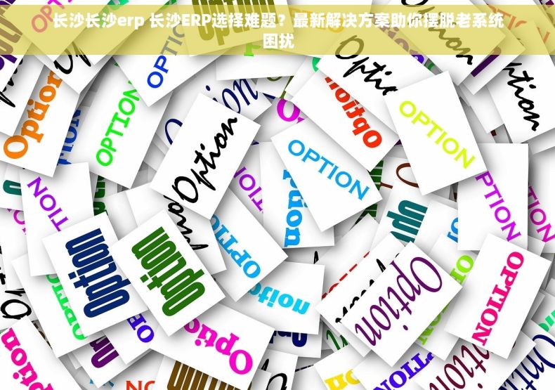 长沙长沙erp 长沙ERP选择难题？最新解决方案助你摆脱老系统困扰