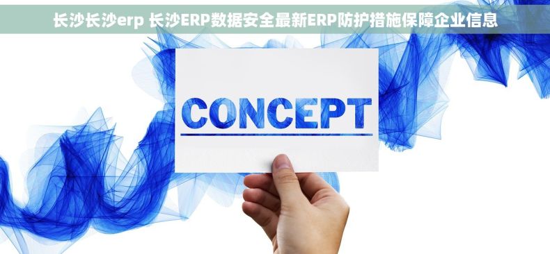 长沙长沙erp 长沙ERP数据安全最新ERP防护措施保障企业信息