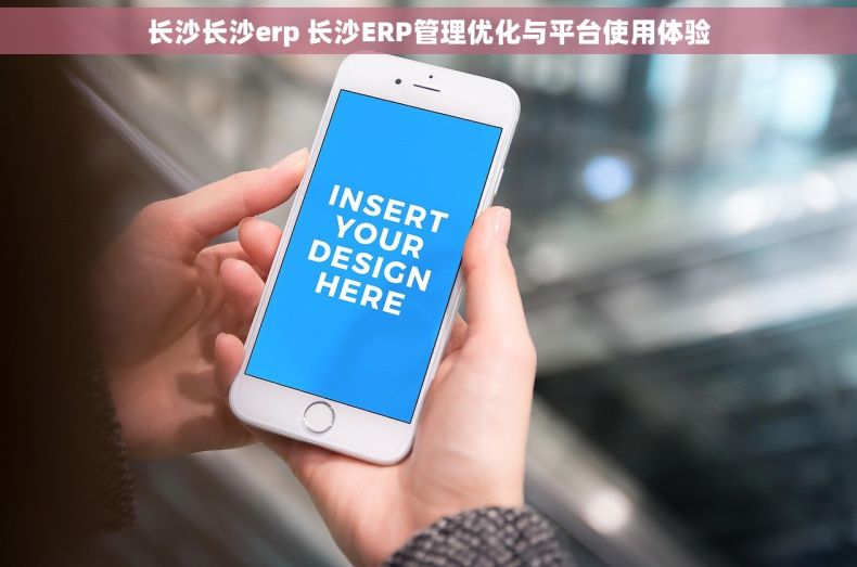 长沙长沙erp 长沙ERP管理优化与平台使用体验