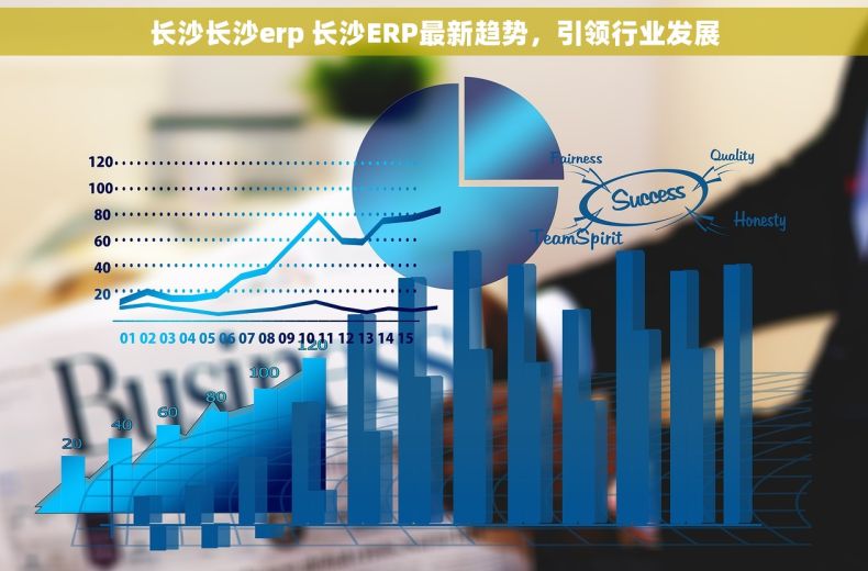 长沙长沙erp 长沙ERP最新趋势，引领行业发展