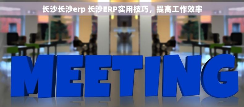 长沙长沙erp 长沙ERP实用技巧，提高工作效率
