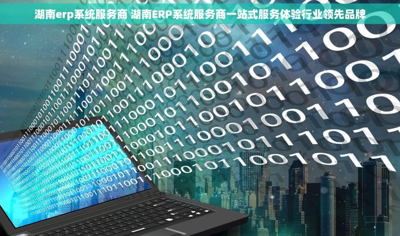 湖南erp系统服务商 湖南ERP系统服务商一站式服务体验行业领先品牌