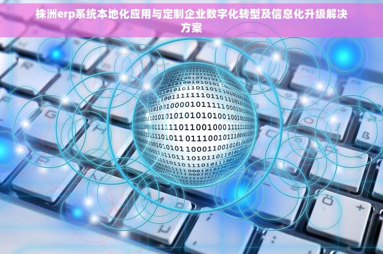 株洲erp系统本地化应用与定制企业数字化转型及信息化升级解决方案