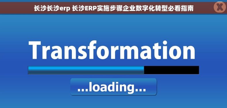 长沙长沙erp 长沙ERP实施步骤企业数字化转型必看指南