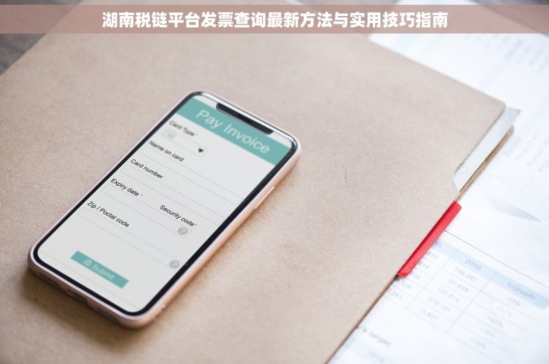 湖南税链平台发票查询最新方法与实用技巧指南