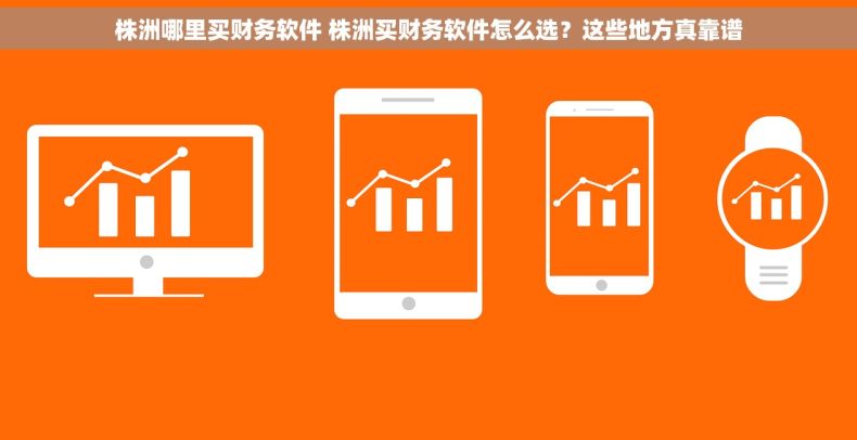 株洲哪里买财务软件 株洲买财务软件怎么选？这些地方真靠谱
