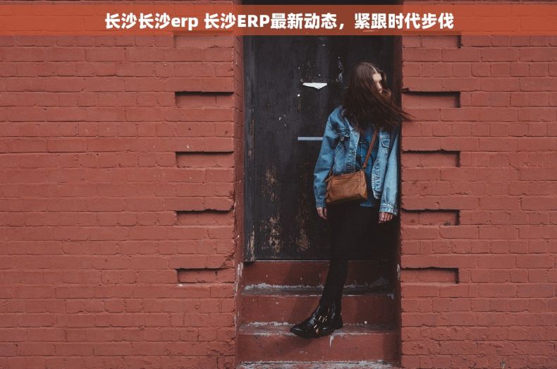 长沙长沙erp 长沙ERP最新动态，紧跟时代步伐