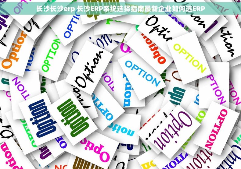 长沙长沙erp 长沙ERP系统选择指南最新企业如何选ERP