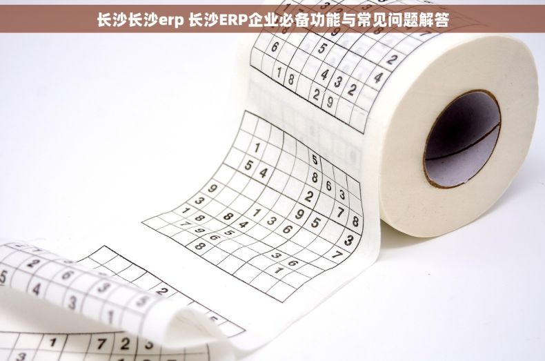 长沙长沙erp 长沙ERP企业必备功能与常见问题解答