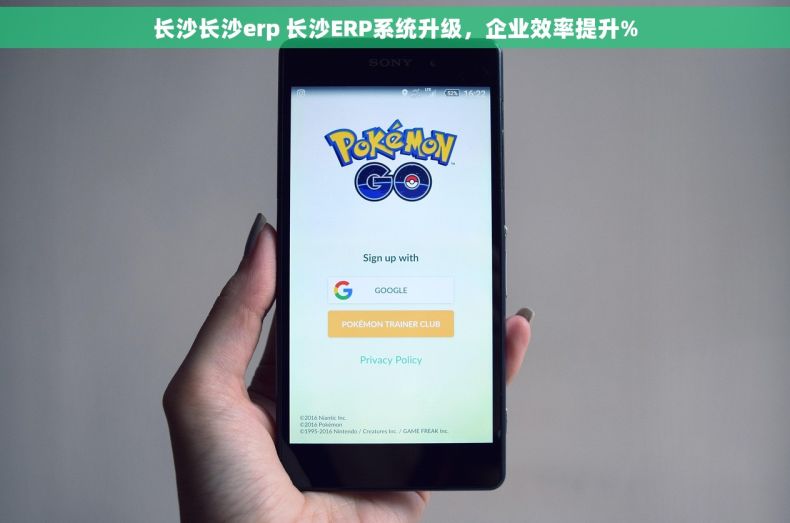 长沙长沙erp 长沙ERP系统升级，企业效率提升%