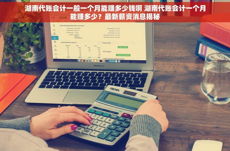 湖南代账会计一般一个月能赚多少钱啊 湖南代账会计一个月能赚多少？最新薪资消息揭秘