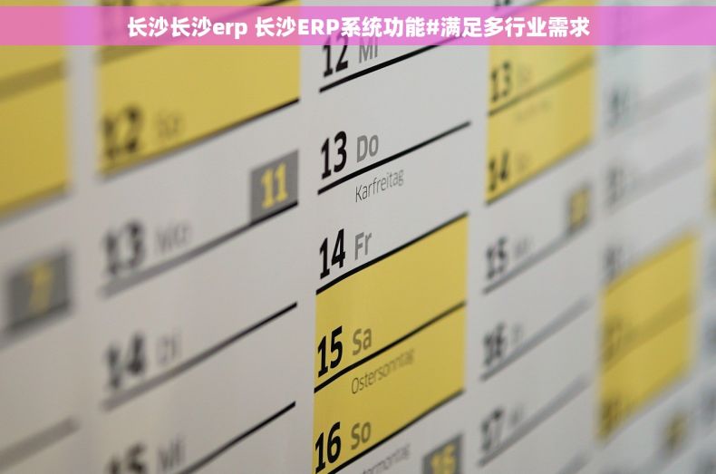 长沙长沙erp 长沙ERP系统功能#满足多行业需求