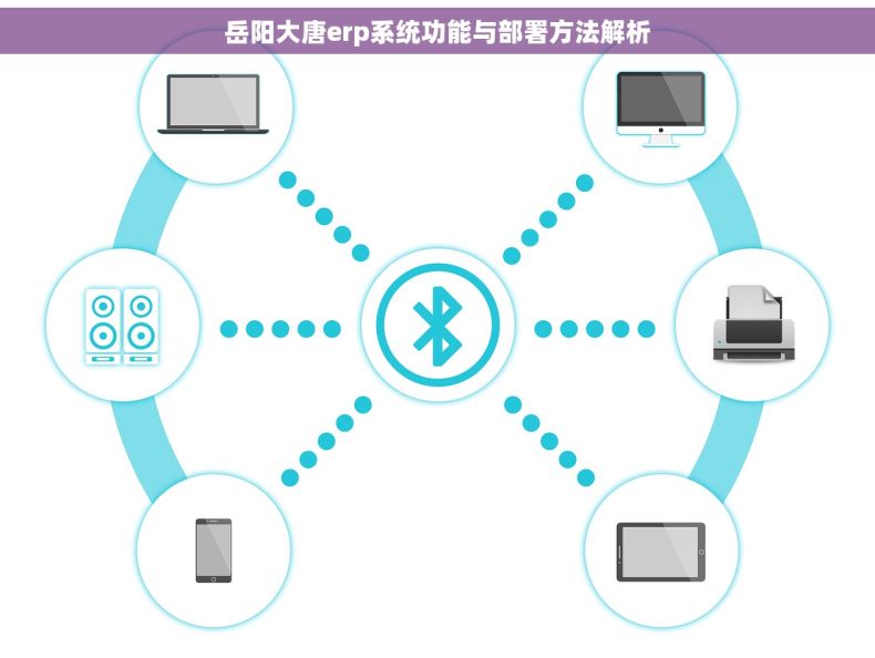 岳阳大唐erp系统功能与部署方法解析