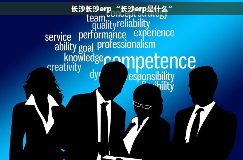 长沙长沙erp “长沙erp是什么”