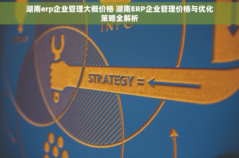 湖南erp企业管理大概价格 湖南ERP企业管理价格与优化策略全解析 湖南erp企业管理大概价格 湖南ERP企业管理价格与优化策略全解析