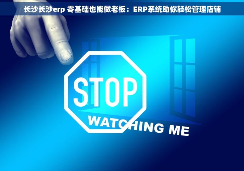 长沙长沙erp 零基础也能做老板：ERP系统助你轻松管理店铺