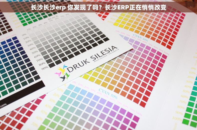 长沙长沙erp 你发现了吗?长沙ERP正在悄悄改变 长沙长沙erp 你发现了吗?长沙ERP正在悄悄改变