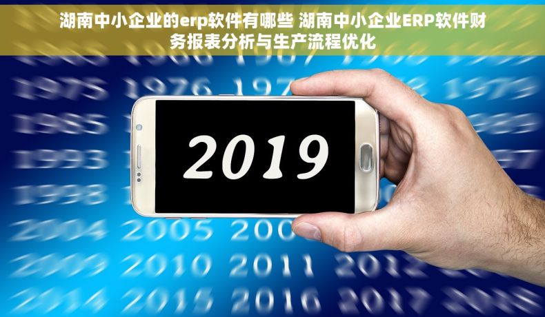 湖南中小企业的erp软件有哪些 湖南中小企业ERP软件财务报表分析与生产流程优化
