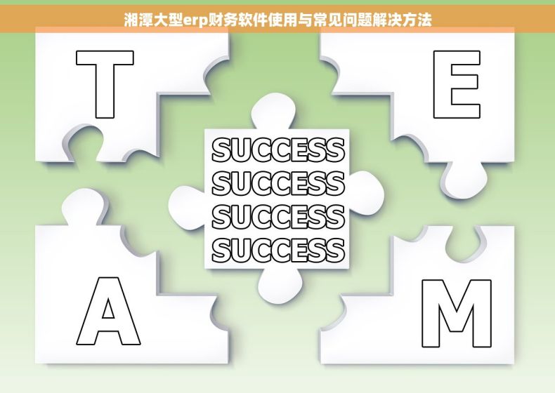 湘潭大型erp财务软件使用与常见问题解决方法