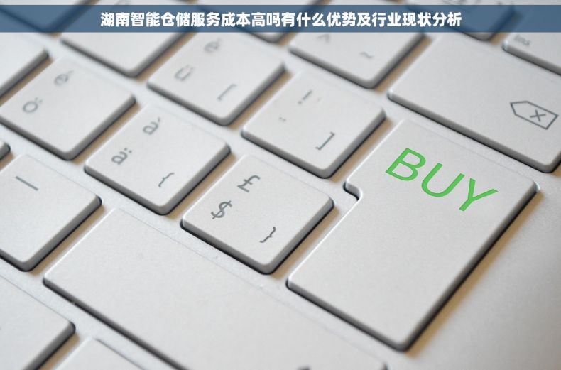 湖南智能仓储服务成本高吗有什么优势及行业现状分析