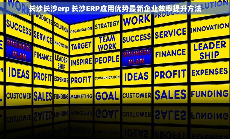 长沙长沙erp 长沙ERP应用优势最新企业效率提升方法