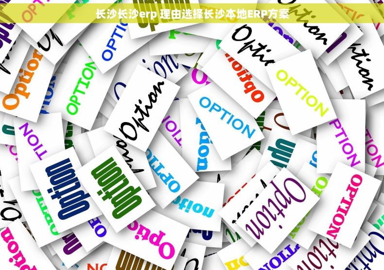 长沙长沙erp 理由选择长沙本地ERP方案