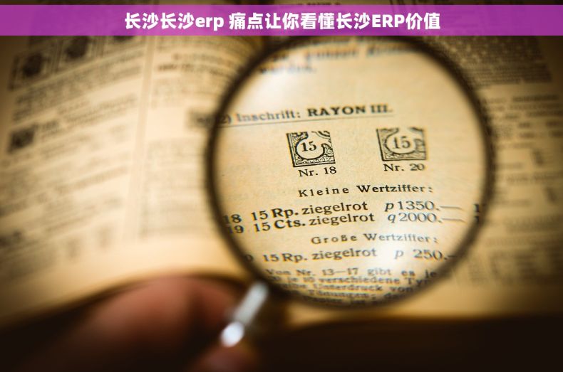 长沙长沙erp 痛点让你看懂长沙ERP价值