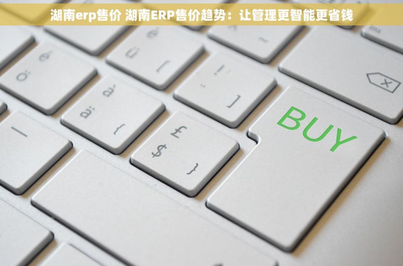 湖南erp售价 湖南ERP售价趋势：让管理更智能更省钱
