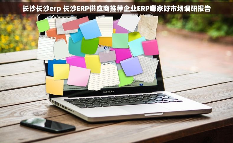 长沙长沙erp 长沙ERP供应商推荐企业ERP哪家好市场调研报告
