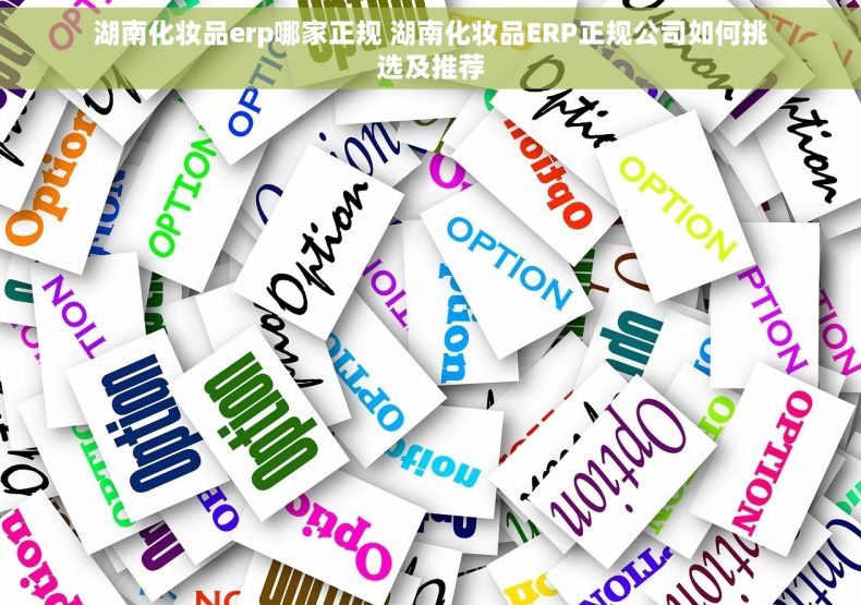 湖南化妆品erp哪家正规 湖南化妆品ERP正规公司如何挑选及推荐