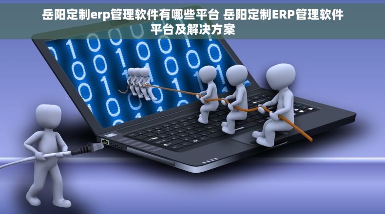 岳阳定制erp管理软件有哪些平台 岳阳定制ERP管理软件平台及解决方案