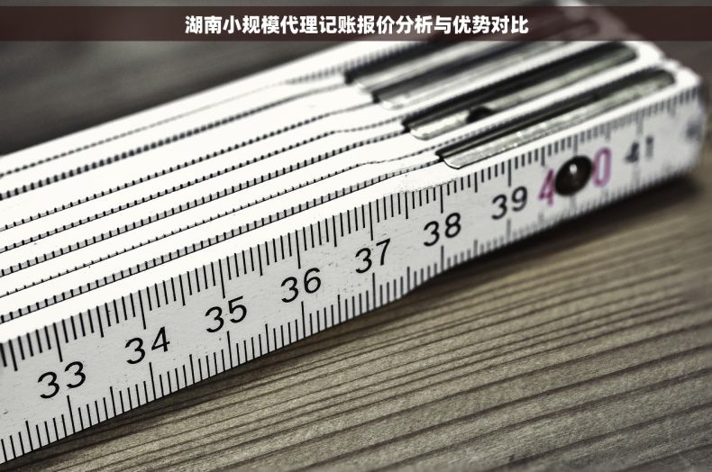 湖南小规模代理记账报价分析与优势对比