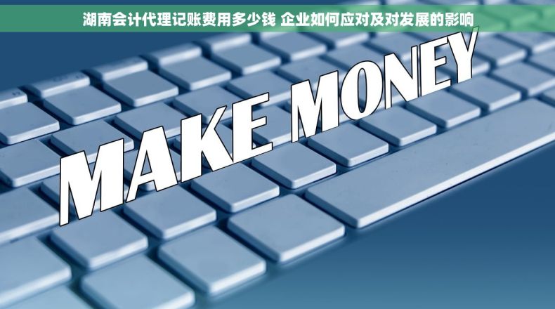 湖南会计代理记账费用多少钱 企业如何应对及对发展的影响