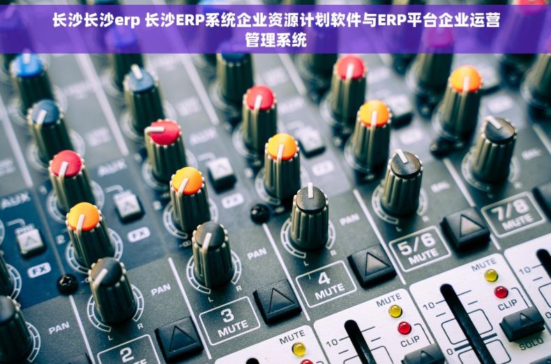长沙长沙erp 长沙ERP系统企业资源计划软件与ERP平台企业运营管理系统