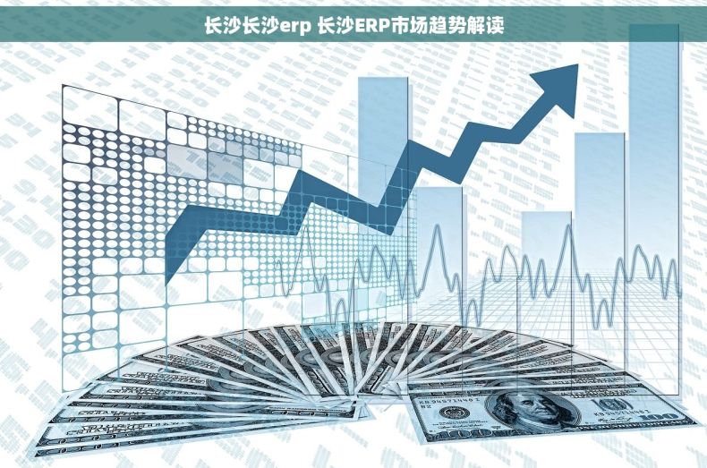 长沙长沙erp 长沙ERP市场趋势解读